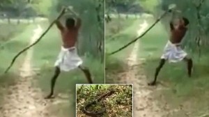 キングコブラに息子を殺されたインドの父親　コブラをブンブン振り回して報復！