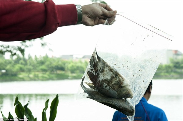 インドネシアのジャカルタで魚が大量死　原因は特定できていない