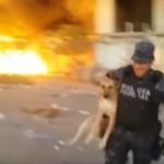 火災現場から犬を救出せよ！　犬のために炎に飛び込むメキシコ警察