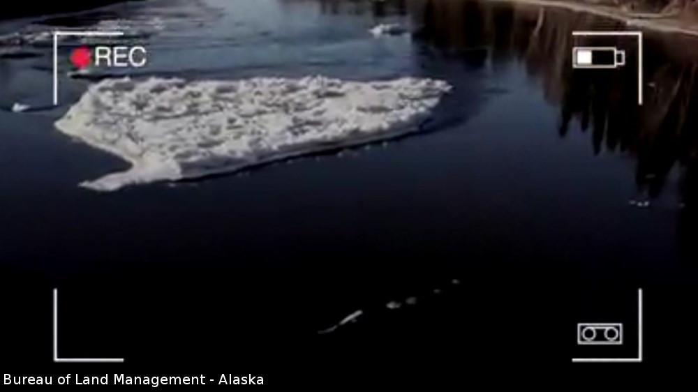 アラスカの川で政府職員が目撃！ 水面を泳ぐシーサーペントらしきUMAの正体