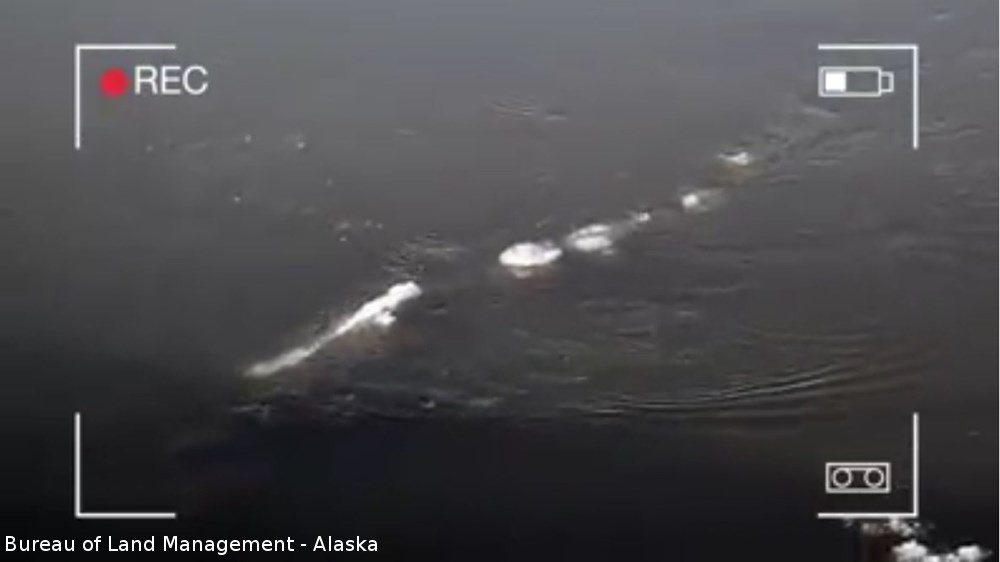アラスカの川で政府職員が目撃！ 水面を泳ぐシーサーペントらしきUMAの正体