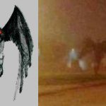 蛾人間モスマンか!? アリゾナ州で巨大な翼を持つ未確認生物が撮影される