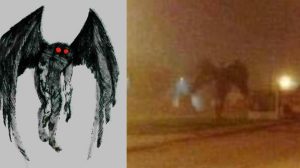 蛾人間モスマンか!? アリゾナ州で巨大な翼を持つ未確認生物が撮影される