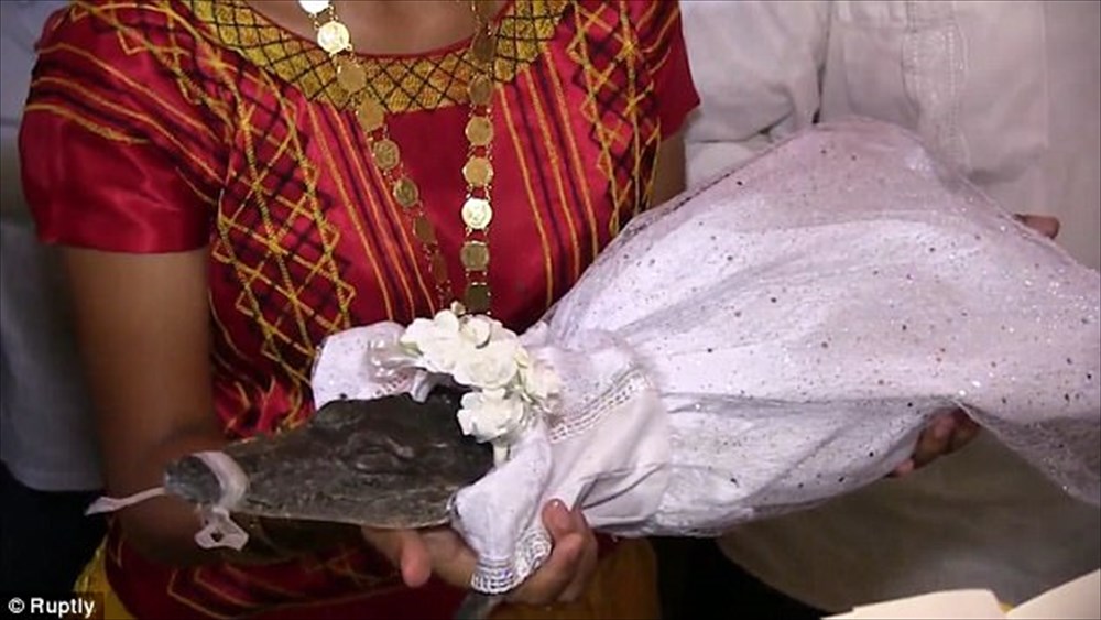 【念のため口輪装着】メキシコの市長、クロコダイルと結婚する