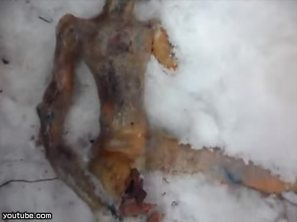 シベリア・イルクーツクでエイリアンの死骸を発見→ロシア政府がコメント